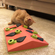Load image into Gallery viewer, Melon Madness Puzzle & Play - for cats