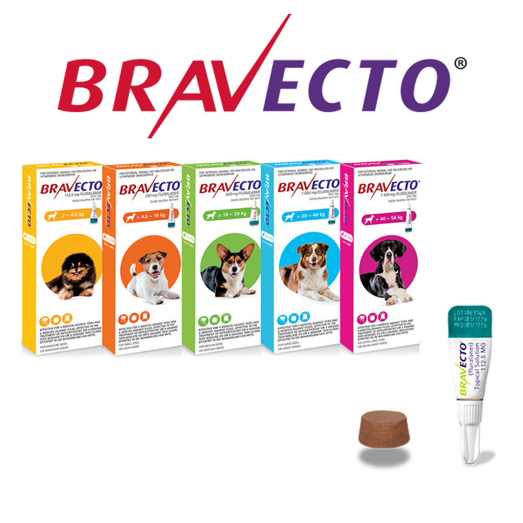 Bravecto for dogs Topical Solution (Pour-On)