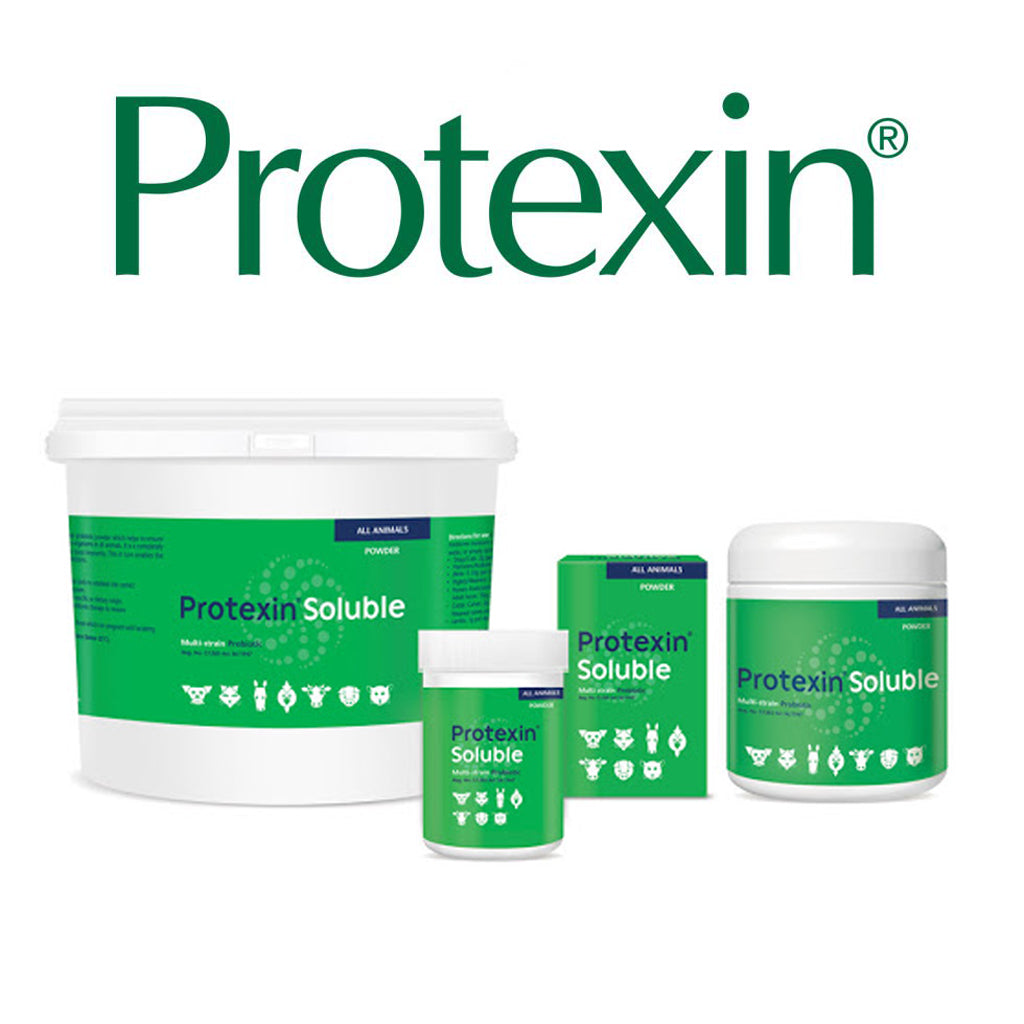 Protexin Soluble